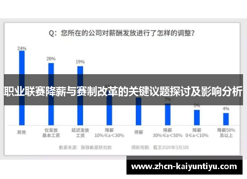 职业联赛降薪与赛制改革的关键议题探讨及影响分析